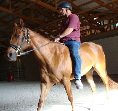 cash.davebarebk